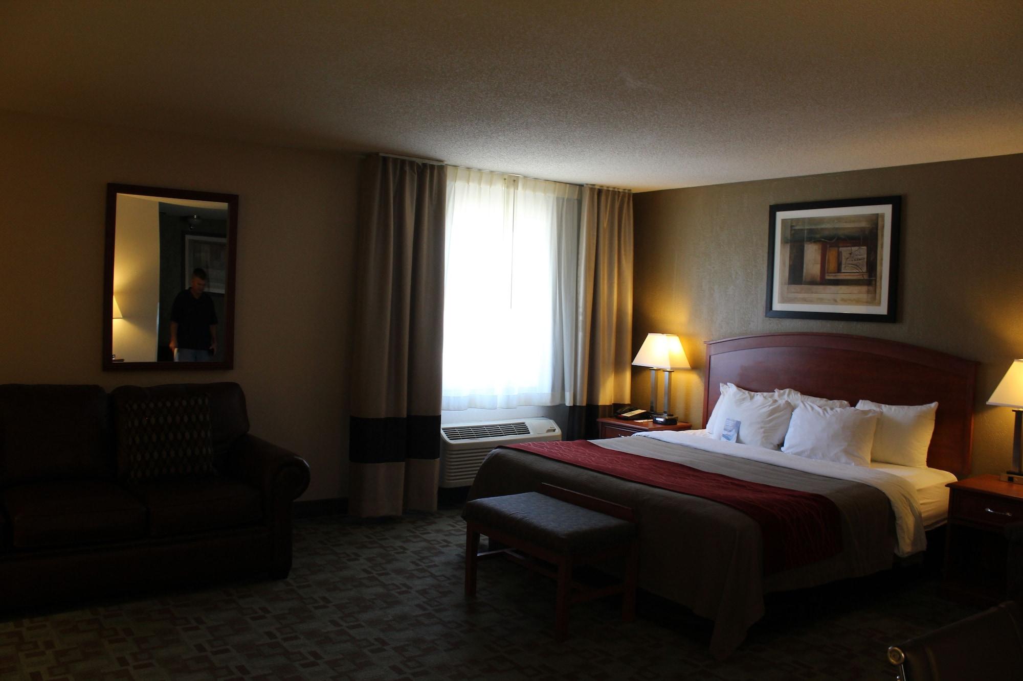 Comfort Inn Hastings Ngoại thất bức ảnh