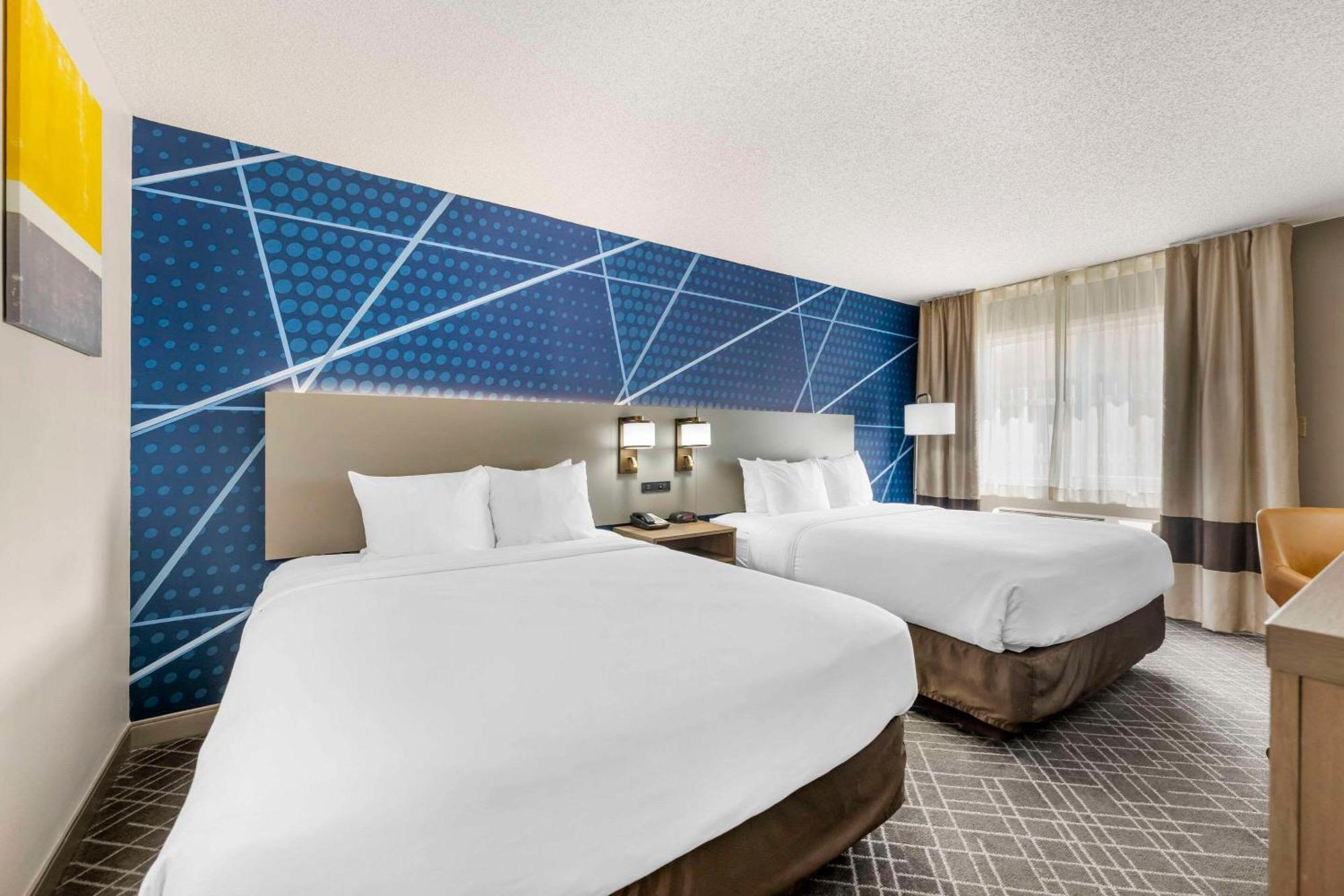 Comfort Inn Hastings Ngoại thất bức ảnh