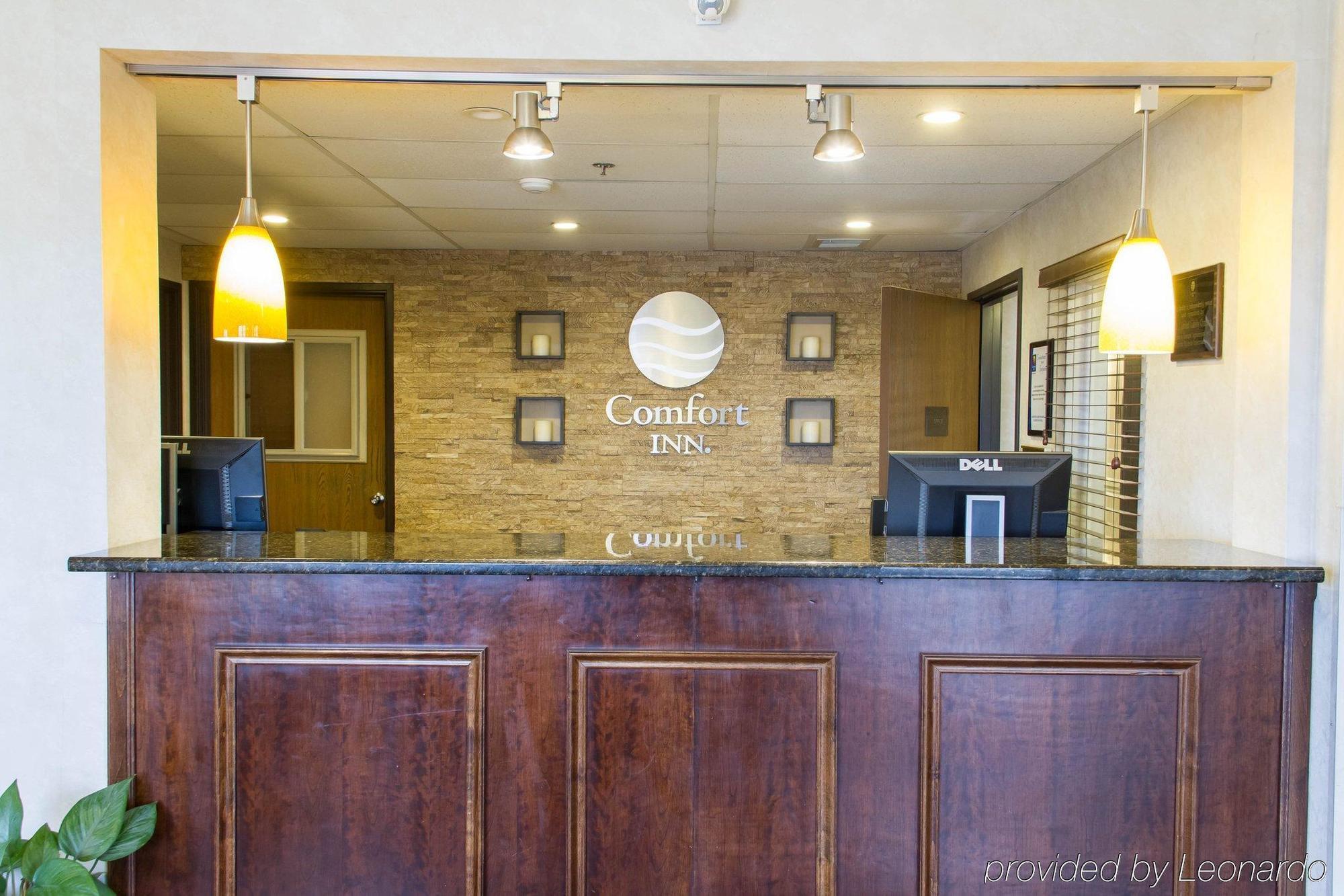Comfort Inn Hastings Ngoại thất bức ảnh